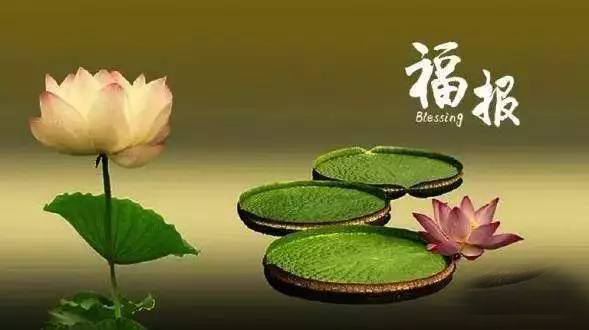婴灵缠身怎么化解 ， 听大悲咒能超度婴灵
