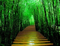 财库财运：打过胎必须得还阴债吗 ／还阴债补财库的基本给烧多少