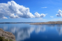 道教法事：属狗的算今年事业工作运势,2021年事业受阻改怎么化解