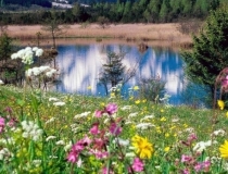 超度法事：渡亡施食烟供,可以让亡灵获得利益有助于解脱