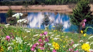 超度法事：渡亡施食烟供,可以让亡灵获得利益有助于解脱