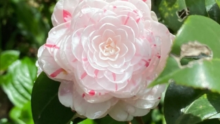 财库财运：看手相的说我事业容易受阻怎么办,教你3个化解方法,事业财运旺