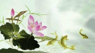 婴灵超度：我只想知道怎么超度婴灵，具体步骤