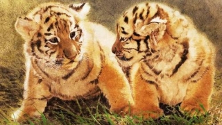 财库财运：怎么看八字里的财星财库？