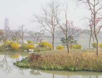 婴灵超度：孕六个月晚上噩梦连连,可能是因为婴灵在纠缠所导致