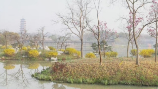 婴灵超度：孕六个月晚上噩梦连连,可能是因为婴灵在纠缠所导致