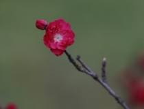 道教法事：噩梦连连怎么调理,先来看我们为何会噩梦连连,才能进行化解