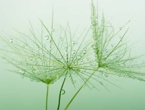 民俗文化：你不知道家里最简单的辟邪东西