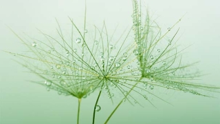 民俗文化：你不知道家里最简单的辟邪东西