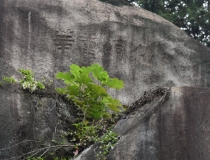 超度法事：车祸投胎吗,意外死亡的亡灵需要渡亡帮助往生