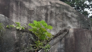 超度法事：车祸投胎吗,意外死亡的亡灵需要渡亡帮助往生