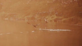 财库财运：男命戊申日柱的财运怎么样,老师教你如何推算自己的财运