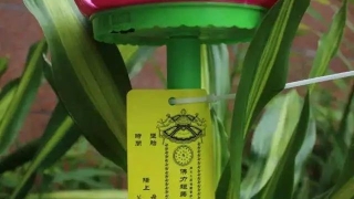 还受生债：还阴债都需要准备什么 佛教还阴债怎么算