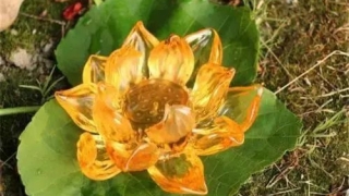 姻缘和合：做完和合法事,分开四个月了还能做和合法事吗