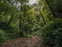 超度法事：死人投胎需要经过中阴体，才能再次投胎转世