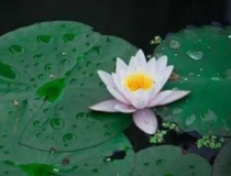 婴灵超度：打胎以后事事不顺，还常常生病