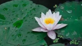 婴灵超度：打胎以后事事不顺，还常常生病