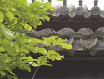 超度法事：当你梦见上坟烧纸，不同的梦境有着不一样的意