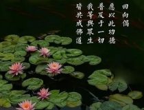 婴灵超度：坠胎婴灵会报复男人吗 , 超度婴灵后症状