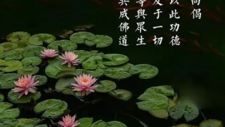 婴灵超度：坠胎婴灵会报复男人吗 , 超度婴灵后症状