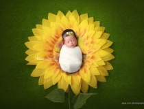 婴灵超度：超度婴灵的经文抄写多少遍 , 道教超度婴灵忏悔文