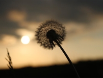 还受生债：阴债官债一定要还，否则现世的我们困难重重