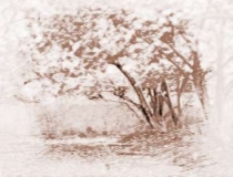 旺姻缘：招正桃花运的方法