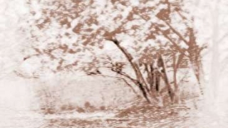 旺姻缘：招正桃花运的方法