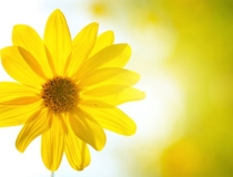 还受生债：还阴债多久起效果，怎么知道还阴债是否成功