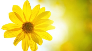 还受生债：还阴债多久起效果，怎么知道还阴债是否成功