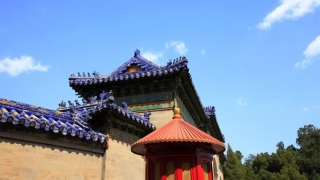 化太岁：本命年化太岁的必要性，赶紧去拜太岁