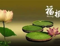 婴灵超度：上海玉佛寺堕胎婴灵法会 , 超度婴灵可以去普陀山吗