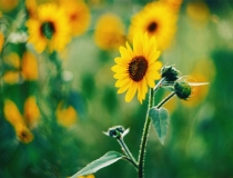 超度法事：色鬼投胎超度亡灵法事，很简单的超度方法