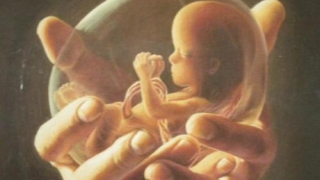 婴灵超度：什么是灵婴？为什么要超度灵婴