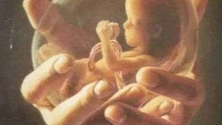 婴灵超度：堕胎后会如何度化婴灵什么是道教超度