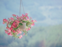 超度法事：如何超度,道教是如何超度亡灵的