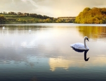 超度法事：灵婴复仇事件,有婴灵纠缠需要赶紧化解亡灵