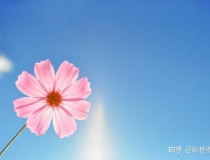 旺姻缘：有什么方法可以招桃花？