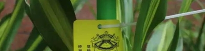 婴灵超度：堕胎医师的恐怖经历堕胎婴灵找到了我...真...,堕