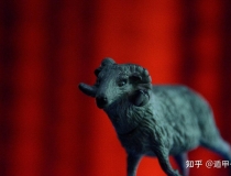 化太岁：生肖运势｜属羊2021年运势及运程冲太岁,2021年属羊人的全年运势