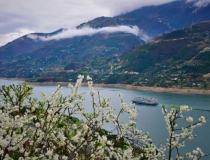 斩烂桃花：怎么斩桃花