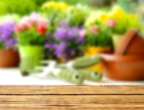 旺姻缘：如何让自己桃花运旺,这三个方法学会了,脱单是迟早的事