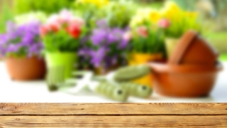 旺姻缘：如何让自己桃花运旺,这三个方法学会了,脱单是迟早的事