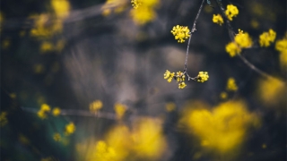 还受生债：阴债文表填写，还阴债的表文需要有人来写