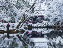 道教法事：近期噩梦连连是什么意思,做噩梦应该是要如何化解