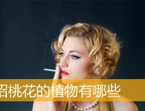 旺姻缘：招桃花的植物有哪些