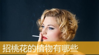 旺姻缘：招桃花的植物有哪些