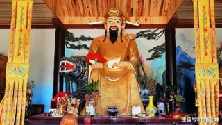 民俗文化：异性缘好生肖女详解 这3种属相不用为异性缘忧愁