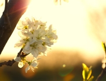 民俗文化：断子绝孙因果报应，所以要多做善事积累善报