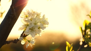 民俗文化：断子绝孙因果报应，所以要多做善事积累善报